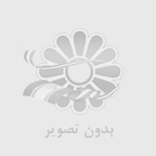 رضا کریمی